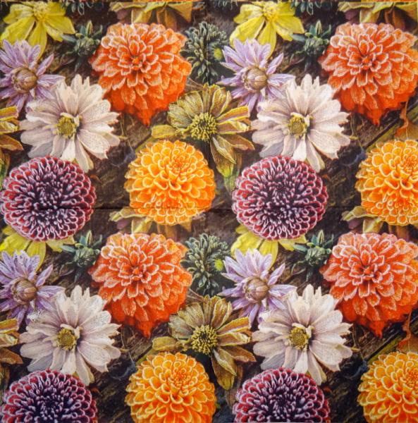 325 Roses - 3-ply - AVEC